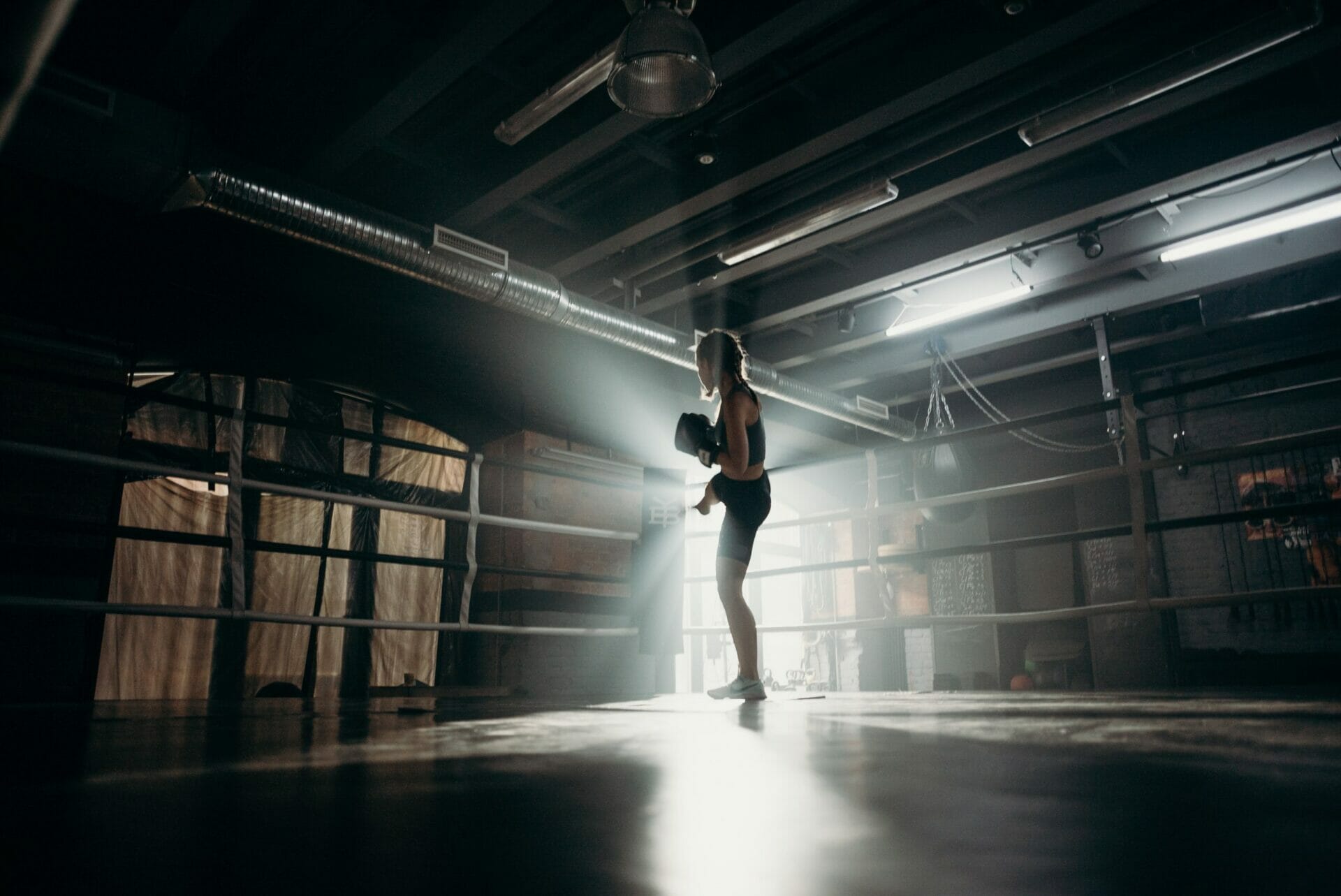 Million Dollar Baby | Un percorso di sofferenza e liberazione