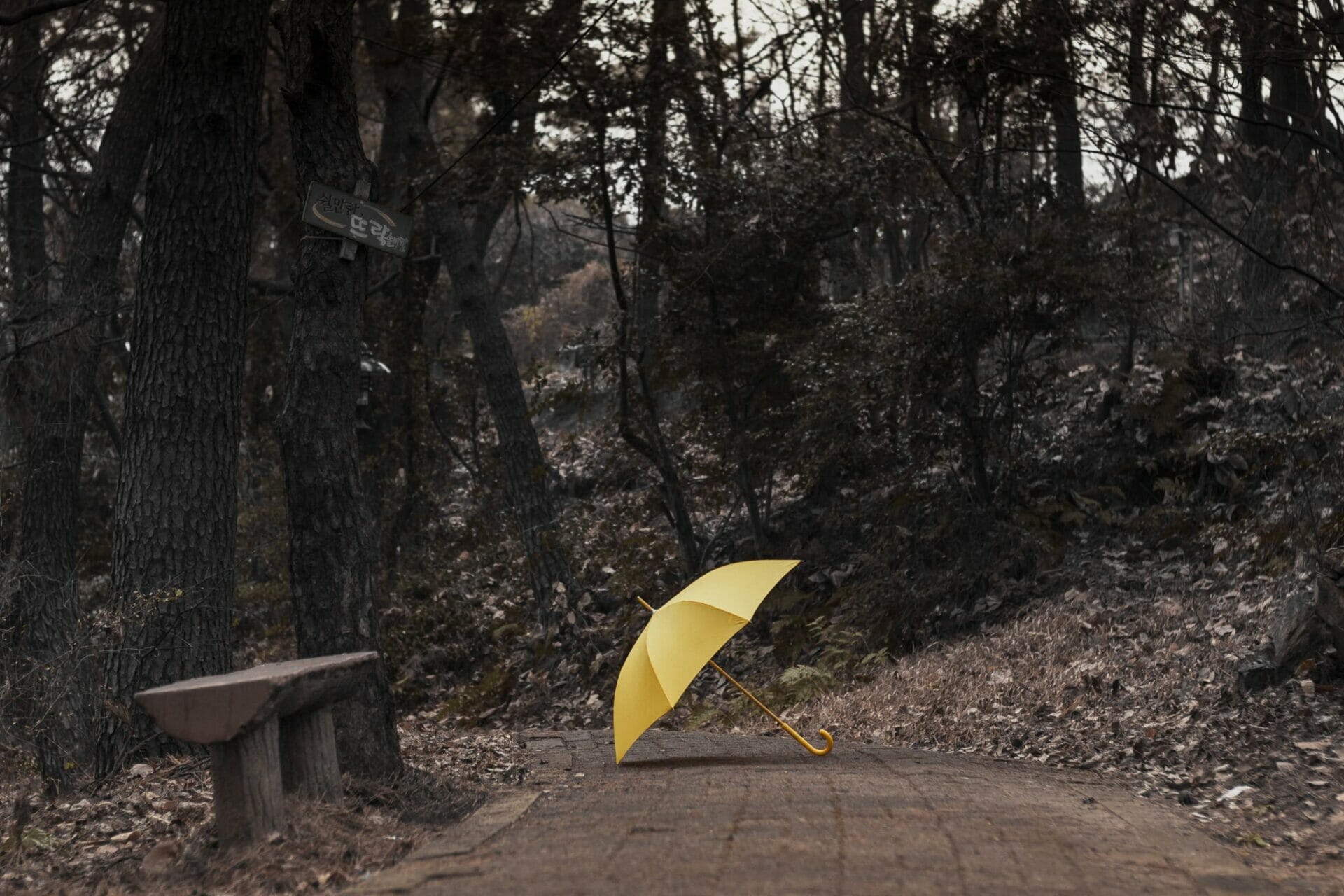How I Met Your Mother | Alla ricerca di 