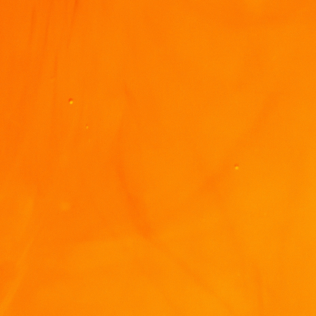 orange background 