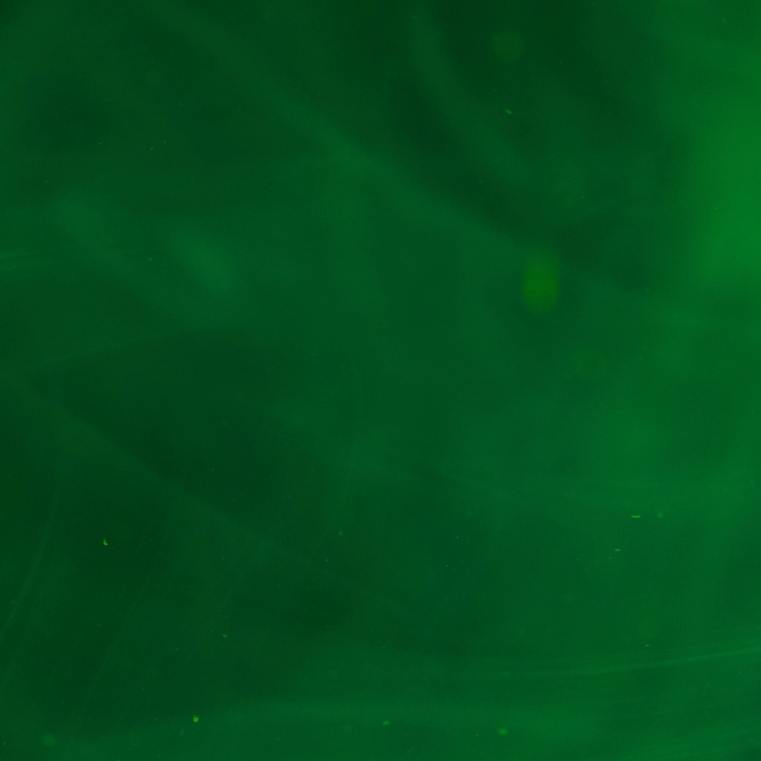 green background 