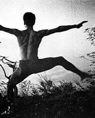 proiezione_prix_vida_italia_hangartfest-videodanza